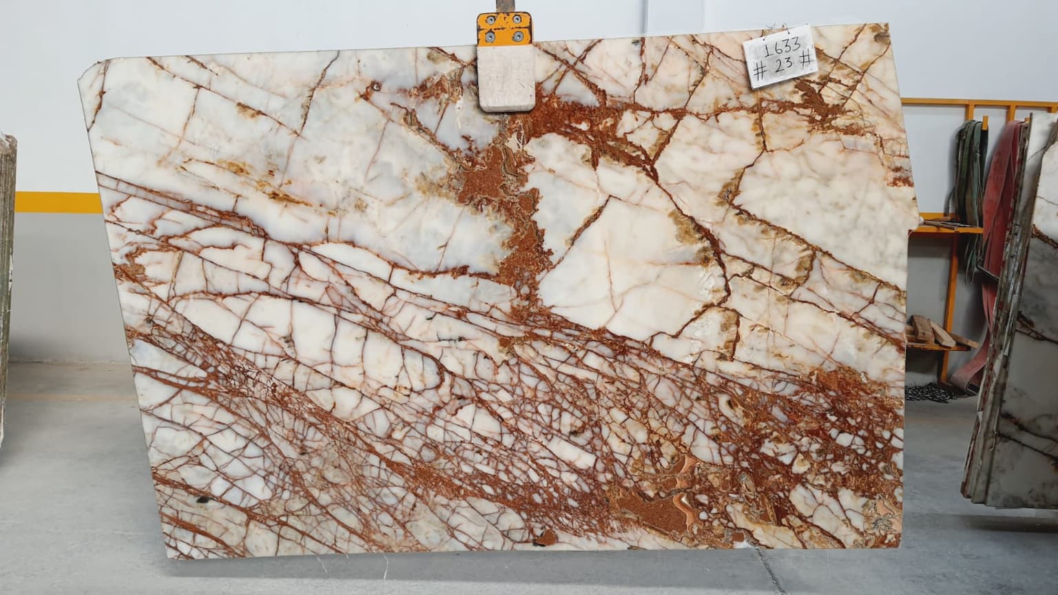 PATAGONIA ROSE K 1633